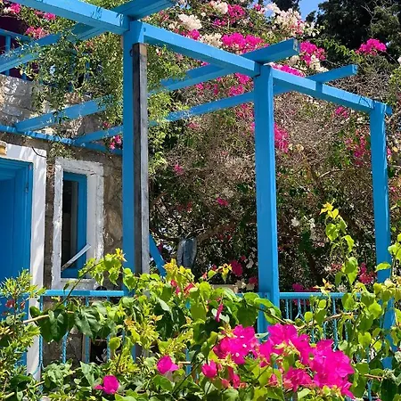 Tiny Datça