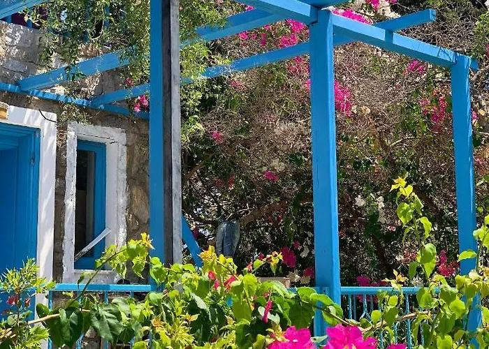 Tiny Datça